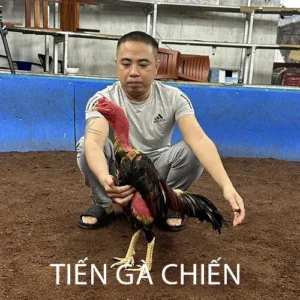 Tiến Gà Chiến